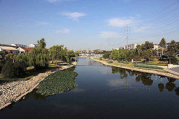 河道绿化